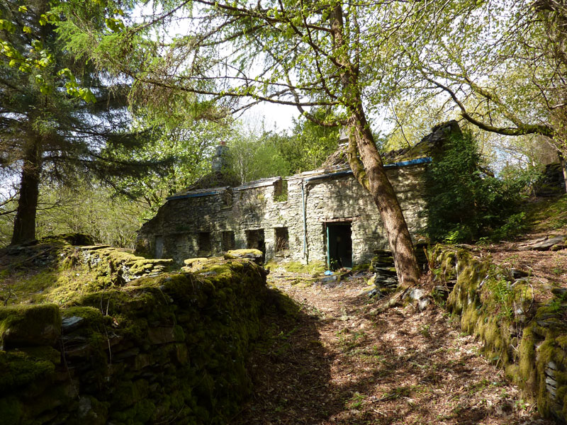 Llanerch Elsi